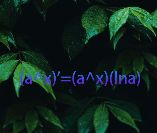 指数函数求导公式是什么？