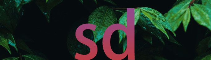 sd是什么意思？