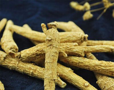 花旗参和西洋参有什么区别？