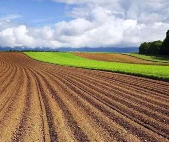 耕地的承包期为多少年？