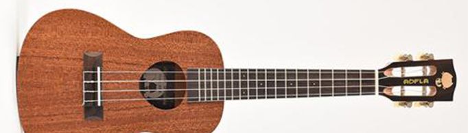 简单易学的十大乐器有哪些？