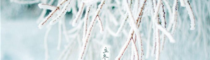 关于立冬的唯美句子有哪些？
