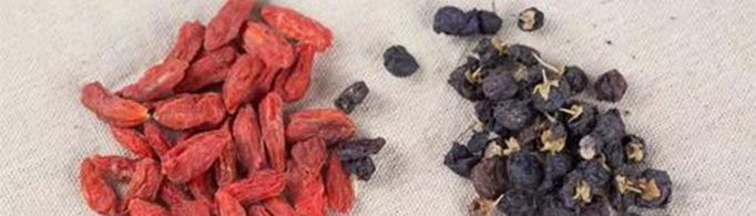 黑枸杞和红枸杞的区别是什么？