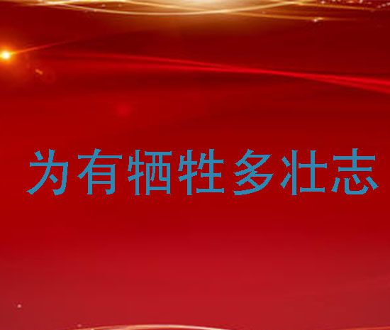 敢教日月换新天的上一句是怎么说的？