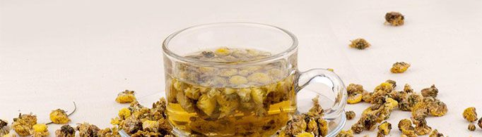 野菊花泡水的禁忌有哪些？