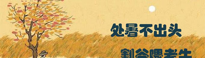 处暑不出头割谷喂老牛的意思是什么？