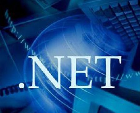 net是什么机构组织的域名？