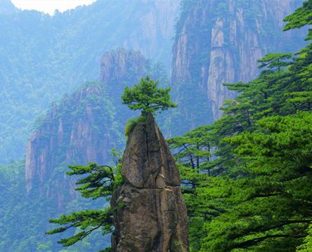 黄山四绝指的是哪四个？