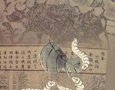 养蚕缫丝开始于什么时期？