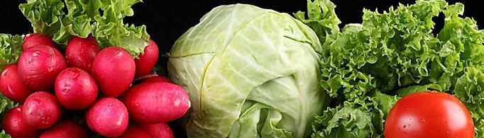 冬天吃什么菜最好？