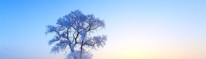 描写冬天雪景的好段落有哪些？