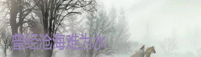 曾经沧海难为水是什么意思？