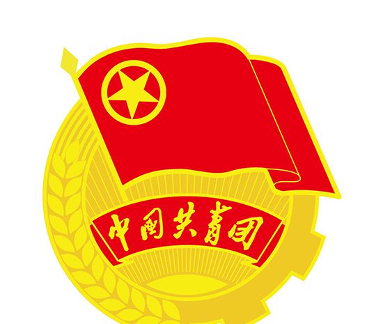 团的全国代表大会几年举行一次？