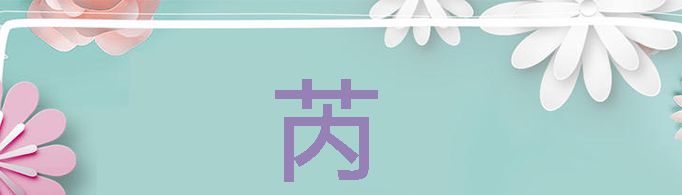 芮字取名的寓意是什么？