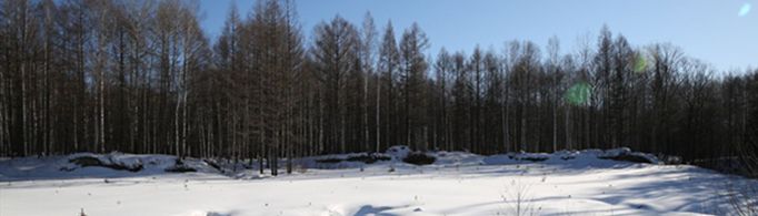 描写雪景的句子有哪些？