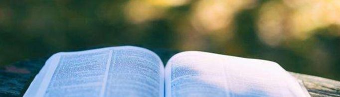 自豪时的动作描写有哪些？