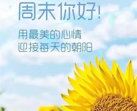 周末是指哪一天？