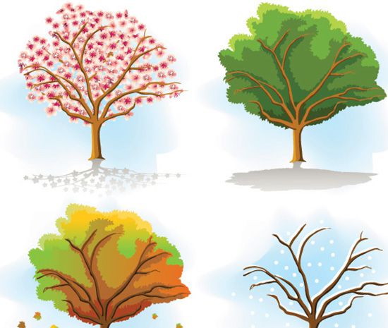 一年有几个季度？