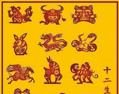 夜肖是哪几个生肖？