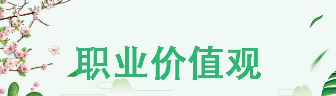 职业价值观怎么写？
