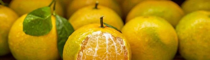 皇帝柑上火吗？