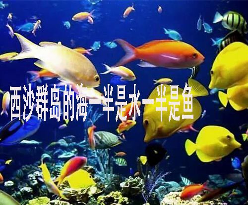 西沙群岛的海里一半是水一半是鱼是啥修辞手法？