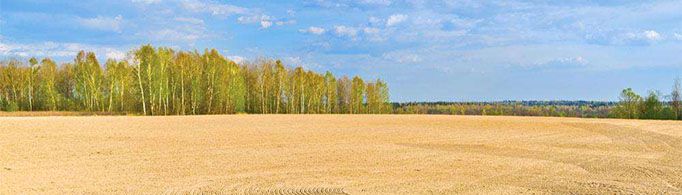 一亩地是几米x几米？