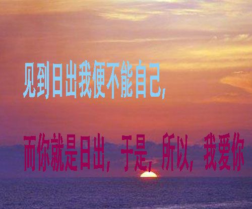 见到日出我便不能自己下一句是什么？
