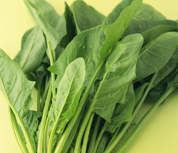 宋朝人吃火锅时可以吃到哪种蔬菜？