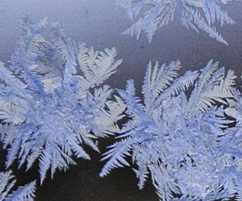 冰窗花在玻璃里面还是外面？