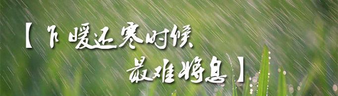 乍暖还寒时候最难将息是什么意思？