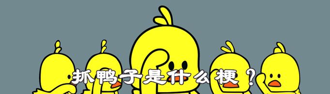 抓鸭子是什么梗？