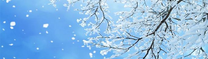 关于下雪的唯美短句有哪些？