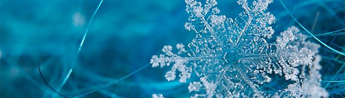 关于雪花像什么的句子有哪些？