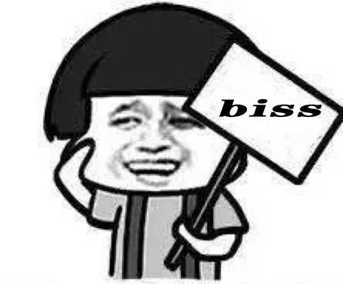 biss什么意思？