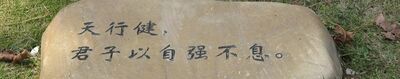 天道酬勤是什么意思？