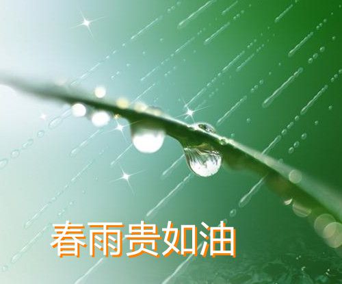 春雨贵如油下一句是什么？