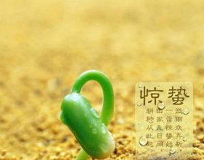 二十四节气里惊蛰的蛰是什么意思？