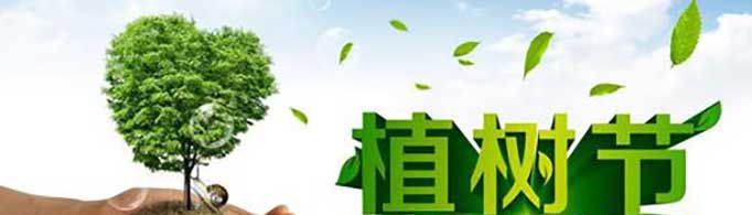 植树节的手抄报内容写什么？