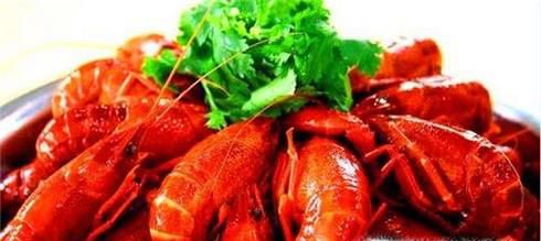 如何挑选龙虾？