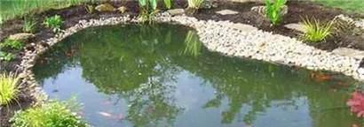 怎么在家里建水池养鱼