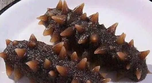 如何挑选海参，海参什么样的好