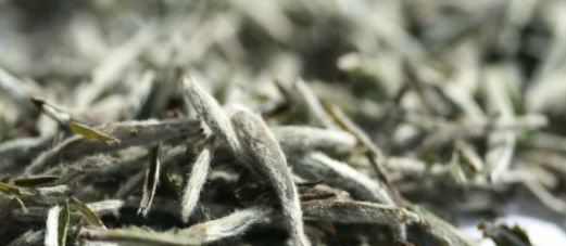 减肥茶排行榜前10名