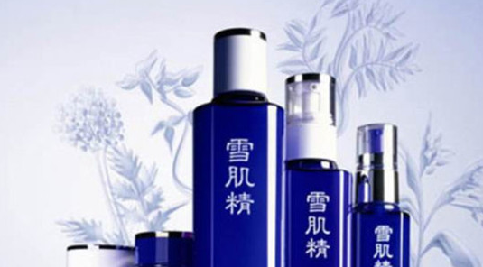 日本化妆品排行榜前十名有哪些