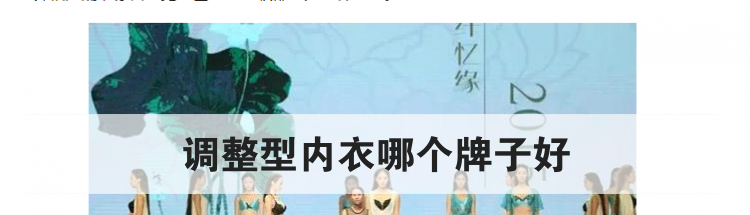 调整型内衣哪个牌子好