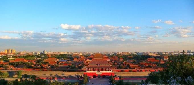 中国哪些城市禁止养狗