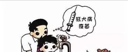 被小动物咬伤应该怎么办？
