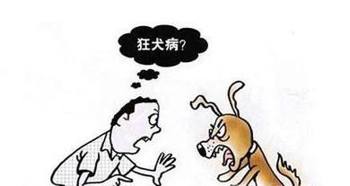 被动物咬伤应该在多少天内注射防狂犬疫苗？