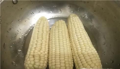 羊驼吃什么食物