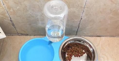 小狗一天喝多少水合适